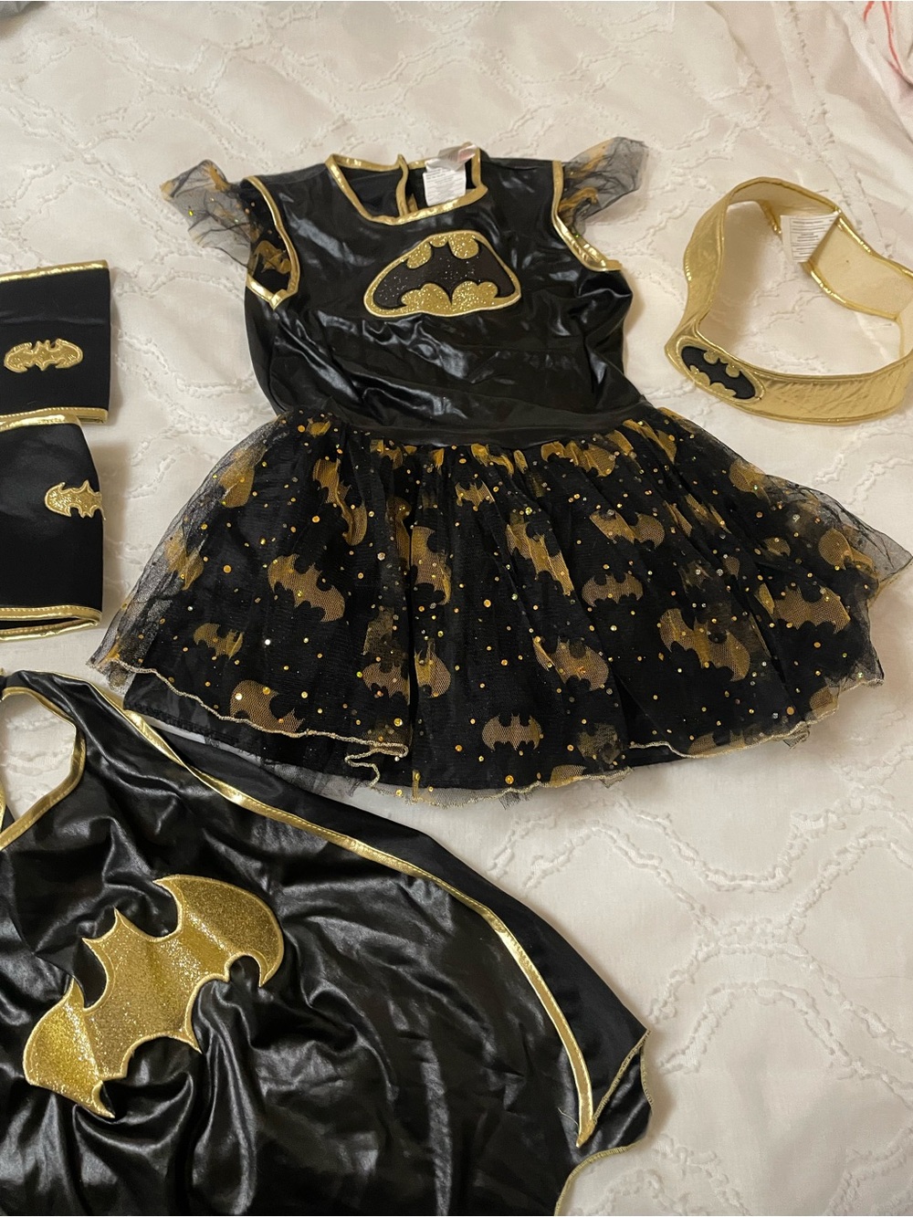 Batgirl costume